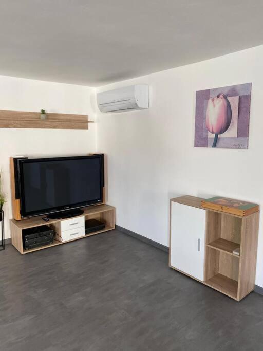 Ferienwohnung Felina باساو المظهر الخارجي الصورة